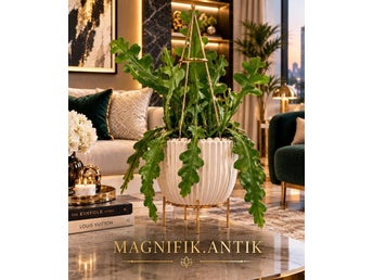 2 FINA STICKLINGAR av Fiskbenskaktus (Epiphyllum anguliger)/ Rotade