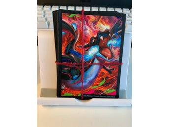 Pokemon Charizard sleeves 20st