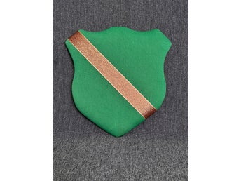 Märkestavla för simmärken/smycken Grön