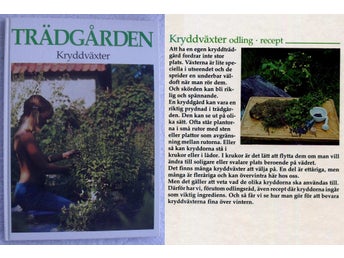 Trädgården: kryddväxter