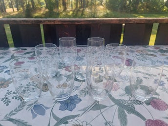 9 st retro selterglas HARRY Bengt Orup Johansfors glasbruk 50-tal