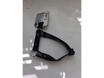 Hundhalsband från Rogz for Dogz