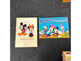 Mickey & Minnie, Disney