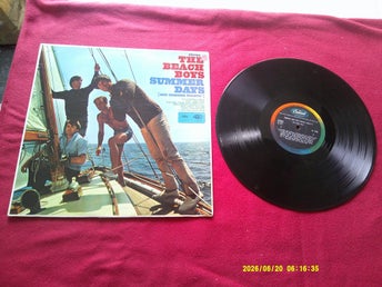 The Beach Boys 