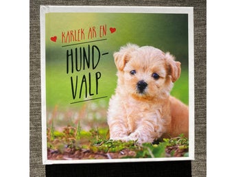 Bok om Valpar