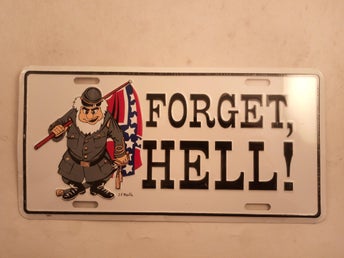 sydstats rebel flaggan forget hell licens plate 15cm*30cm