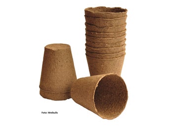 Biokruka, rund, 8 cm, 12-pack