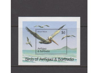 Antigua & Barbuda, Mi, Block 189 Fåglar, pelikan, xx