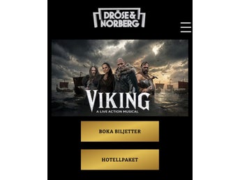 Viking - A Live Action Musical E-Biljett