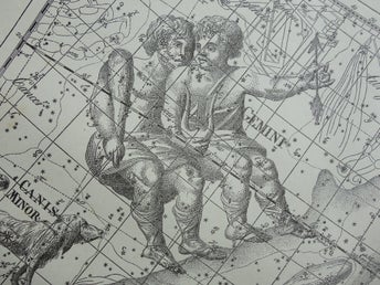 ASTROLOGI Vintage antik tryck print gammal stjärntecken gemini tvillingar oxen