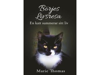 Börjes Livsresa: Marie Thomas - Välgörenhet - Kattfonden