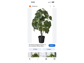 Ikea FEJKA konstgjord krukväxt, Crimson Glory vinranka