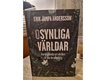 Osynliga världar av Erik Jampa Andersson