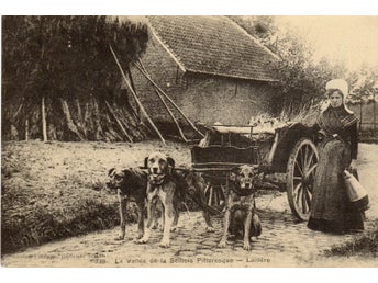 Gammalt vykort - La Vallée de la Semois Pittoresque - Mjölkerska - N°8688