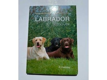 Labrador retriever av Ing-Marie Hagelin och Mimmi Erixon, 2006