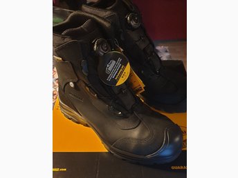 dewalt lakewood boots