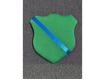Märkestavla för simmärken/smycken Grön /blå satinband
