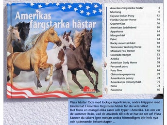 Amerikas färgstarka hästar