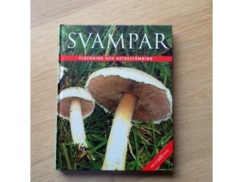 Svampar - Plockning och Artbestämning