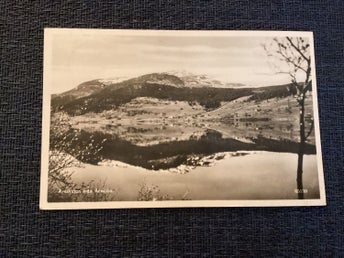 Åreskutan från Åresjön, Pb 65159