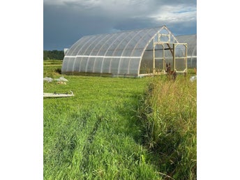 Träväxthus från Garten Dream 5x8m med 4 mm polykarbonatöverdrag