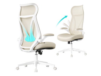 Kontorsstol, Skrivbordsstol, Ergonomiskt ryggstöd, Höjdjusterbart, OBN088LH02