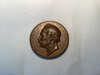 Medalj professor E von Schoultz 1815-1880 Chalmers