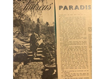 Retro-artikel ”Paradisträdgård i Segeltorp” från 1950