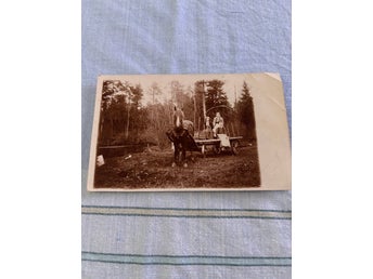 Fotografi, Häst och vagn med människor 30 tals kort