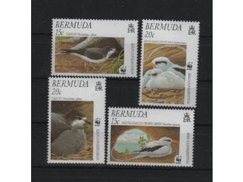 Bermuda 2001 Fåglar 4v WWF