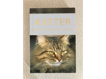 Katter: Bilder, Historia, Fakta