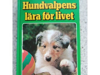 Hundvalpens lära för livet - Cecilia Holmtedt