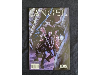 Angel (2009 3rd Series IDW) #22B