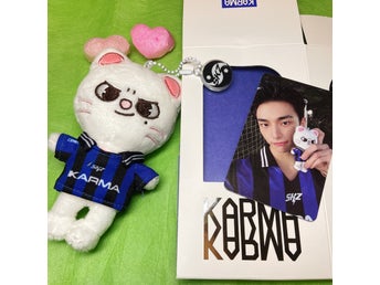 Stray Kids SKZOO KARMA Hyunjin Photo Card Plush Doll Keyring Set Jiniret