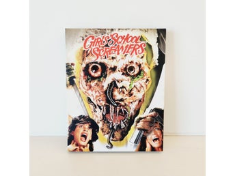 Girls School Screamers Blu ray Vinegar Syndrom