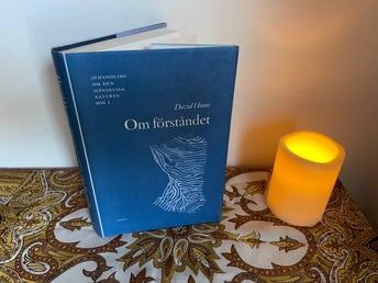 Avhandling om den mänskliga naturen Bok 1: Om förståndet - David Hume (2002)