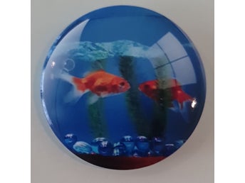 Badge med guldfiskar