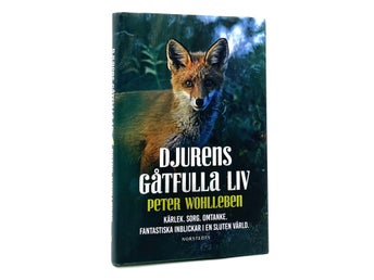 Djurens gåtfulla liv av Peter Wohlleben (inbunden, djurpsykologi, etologi)