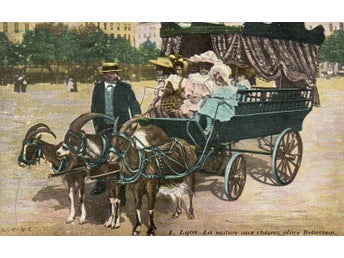 Gammalt vykort - Lyon, La voiture aux chèvres, place Bellecour -N°8375