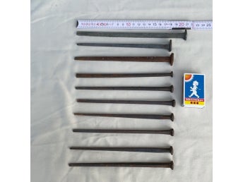 10 gamla handsmidda spikar, 18-21 cm långa