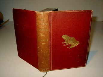 Life in Ponds and Streams (text på Engelska)