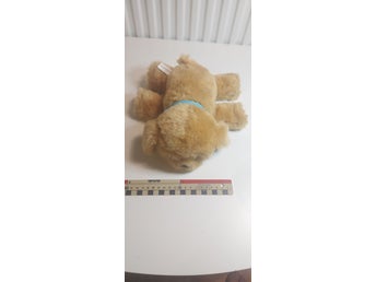 Little Live Pets interaktiv gosedjur hund