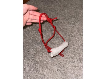Repgrimma Käpphäst