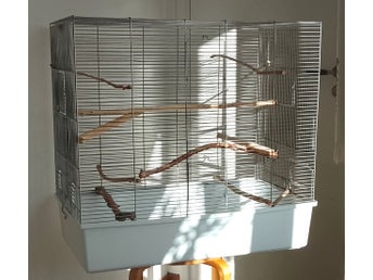 Fågelbur med tillbehör, medelstor