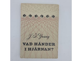 Vad händer i hjärnan? - J.S. Young - 1953