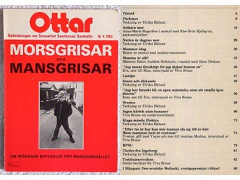Morsgrisar och mansgrisar: om mödrars betydelse för manssamhället (Ottar 4/1983)