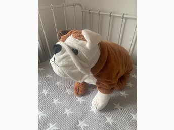 gosig bulldog