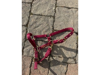 Grönt grimskaft från Horse Saver till Shetlandsponnyn/föl