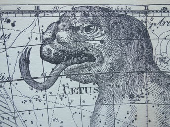 ASTRONOMI Vintage antik tryck print gammal affisch Val Cetus konstellatin