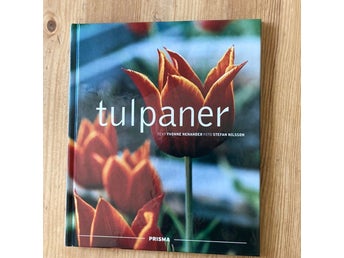 Tulpaner av Yvonne Nenander.